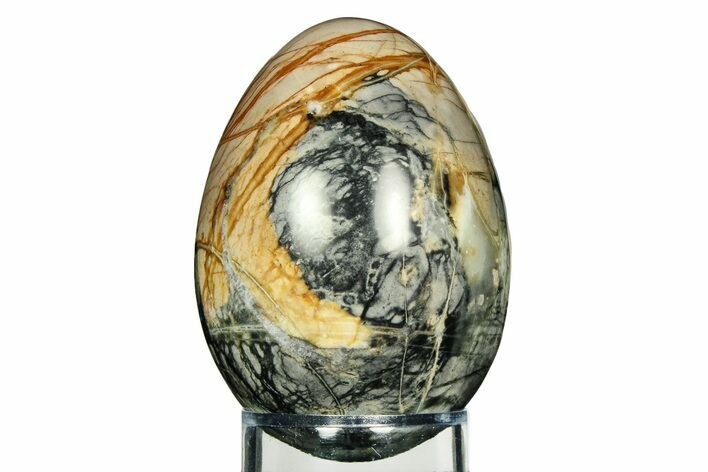 Polished Picasso Marble Egg - Utah #308699